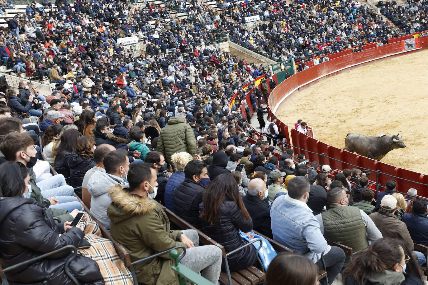 Miles de personas se dan cita en el coso de la calle Xàtiva para vivir el regreso de esta competición taurina popular con representantes valencianos, del resto del territorio nacional e incluso de Francia