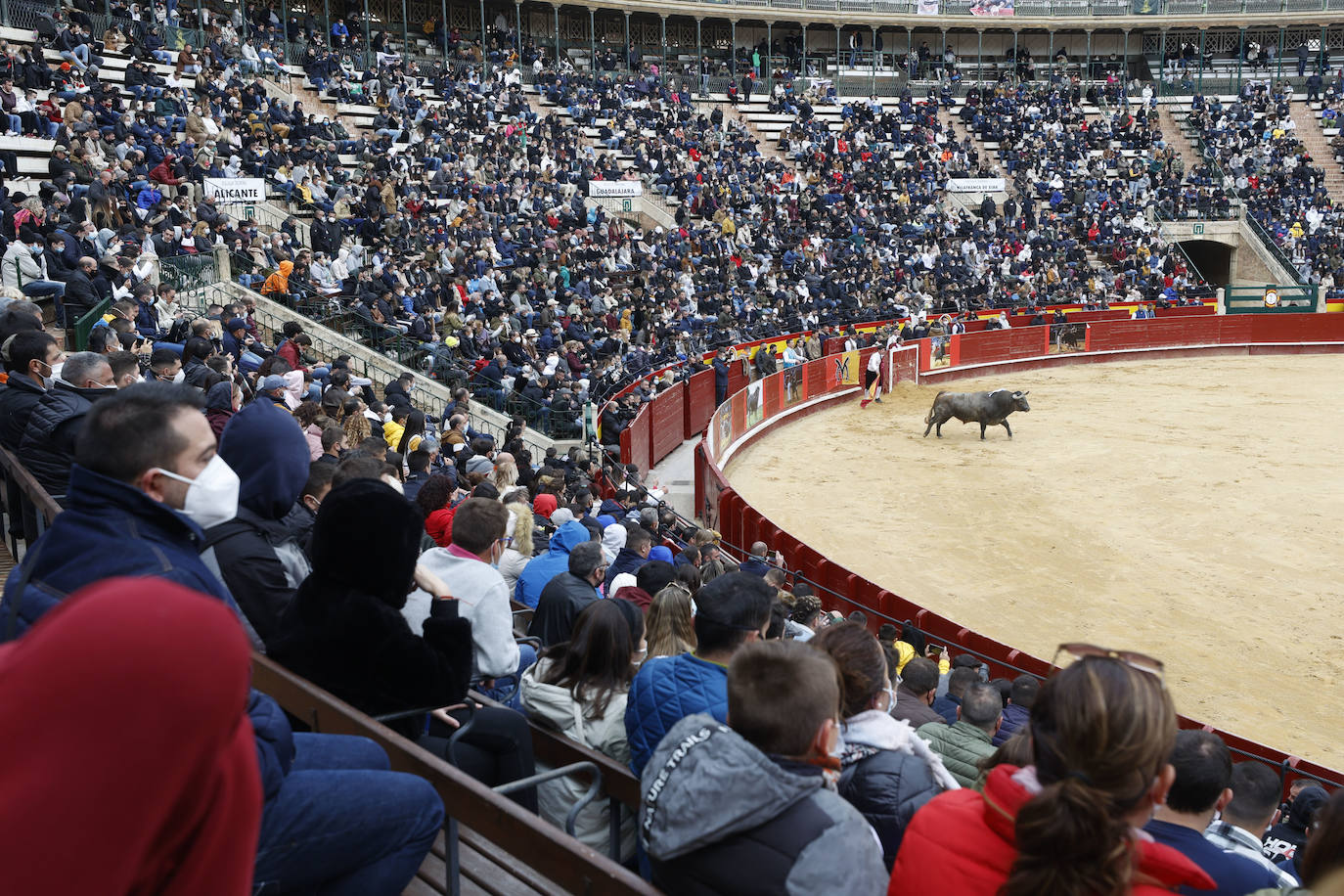 Miles de personas se dan cita en el coso de la calle Xàtiva para vivir el regreso de esta competición taurina popular con representantes valencianos, del resto del territorio nacional e incluso de Francia