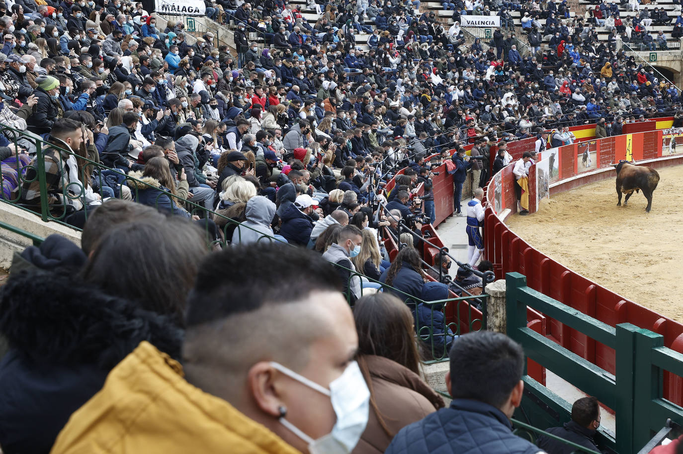 Miles de personas se dan cita en el coso de la calle Xàtiva para vivir el regreso de esta competición taurina popular con representantes valencianos, del resto del territorio nacional e incluso de Francia