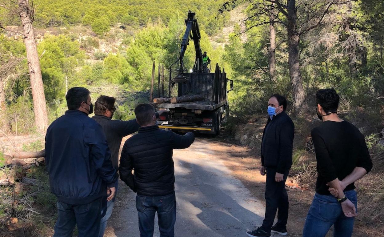 Pérez Llorca durante su visita a los trabajos de creación del cortafuegos