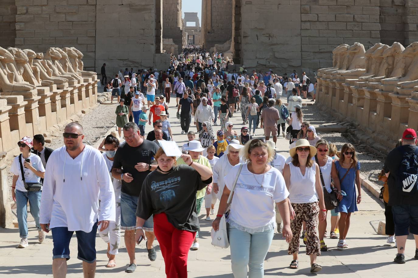 Fotos: Egipto devela el paseo de los carneros en Karnak