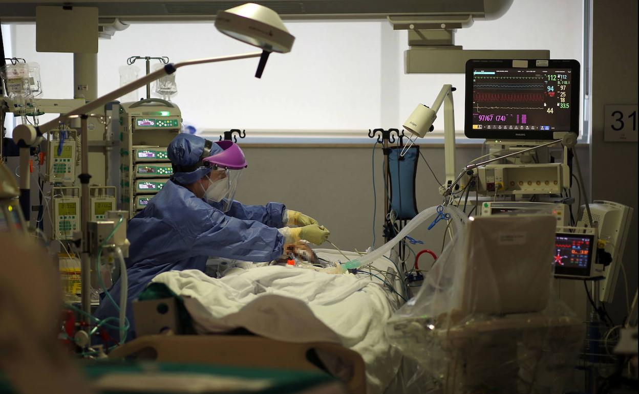 Una sanitaria trata a un paciente de covid. 