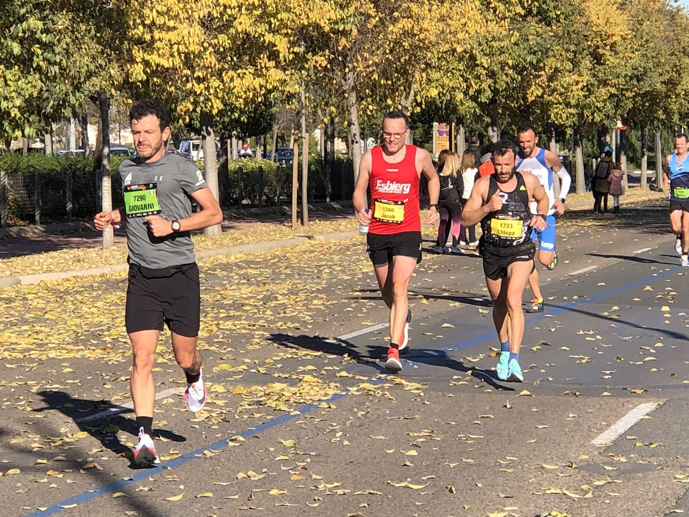 Los corredores encaran el último tramo del recorrido.