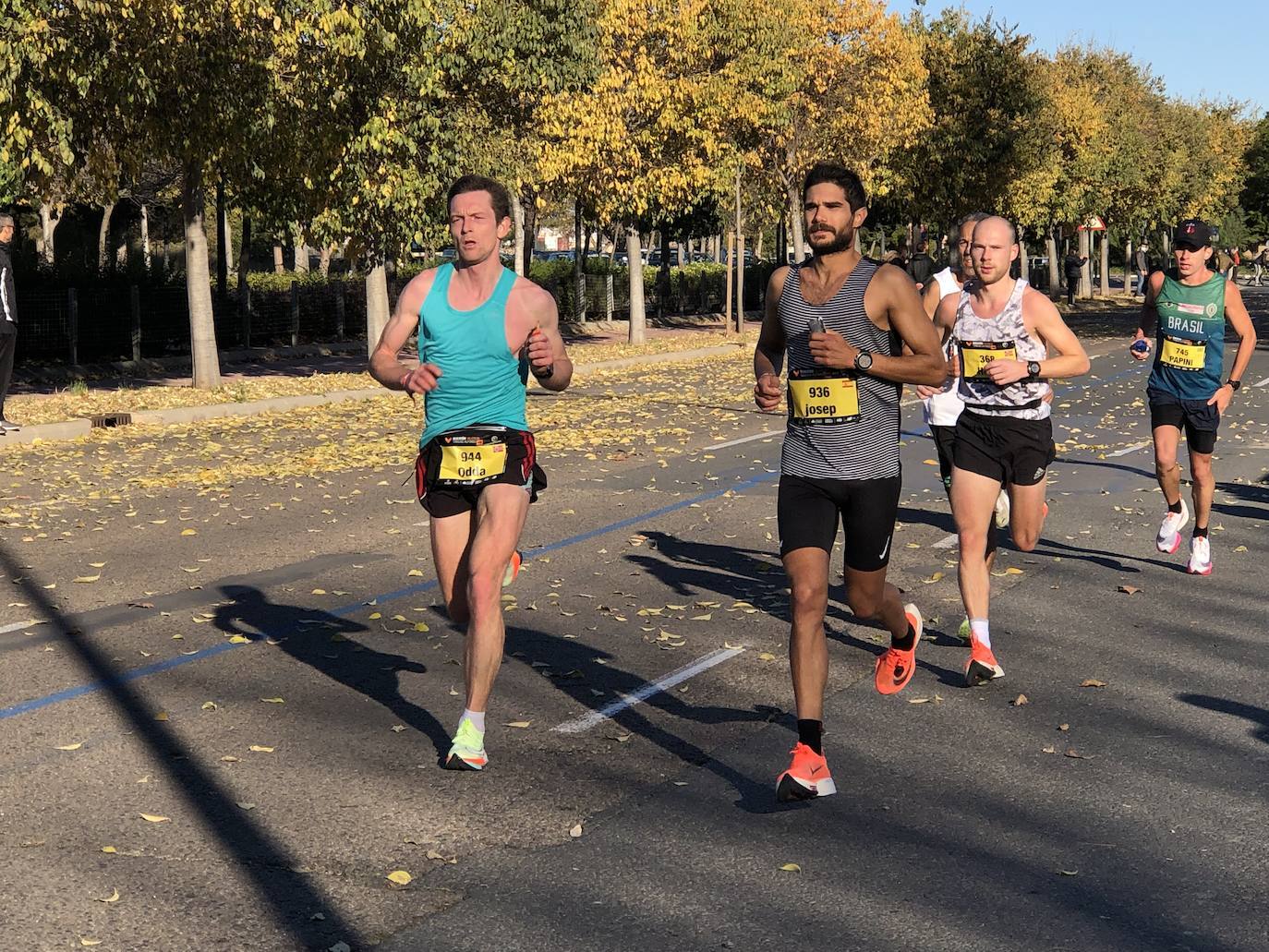 Corredores en el Maratón de Valencia de este domingo, 5 de diciembre