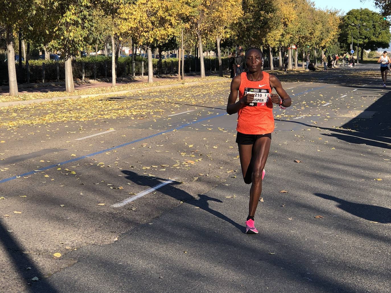 Corredores en el Maratón de Valencia de este domingo, 5 de diciembre