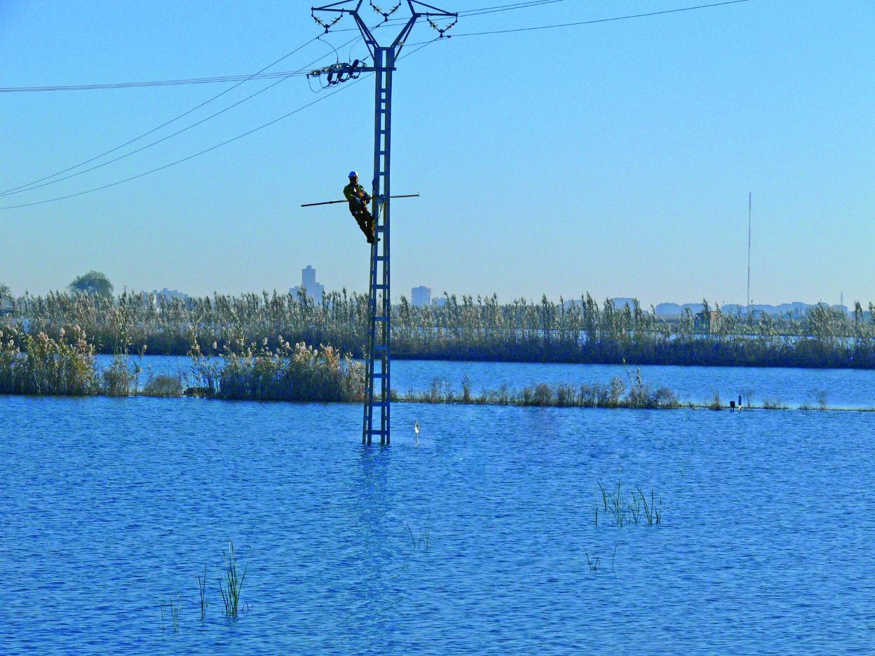 Un operario en una de las torres de luz de la Albufera. lp