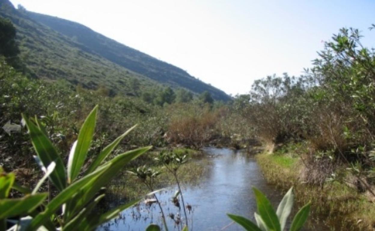 El río Canyoles en el Paraje Natural del Barranc de Fosch de Montesa que también se vería afectado. 