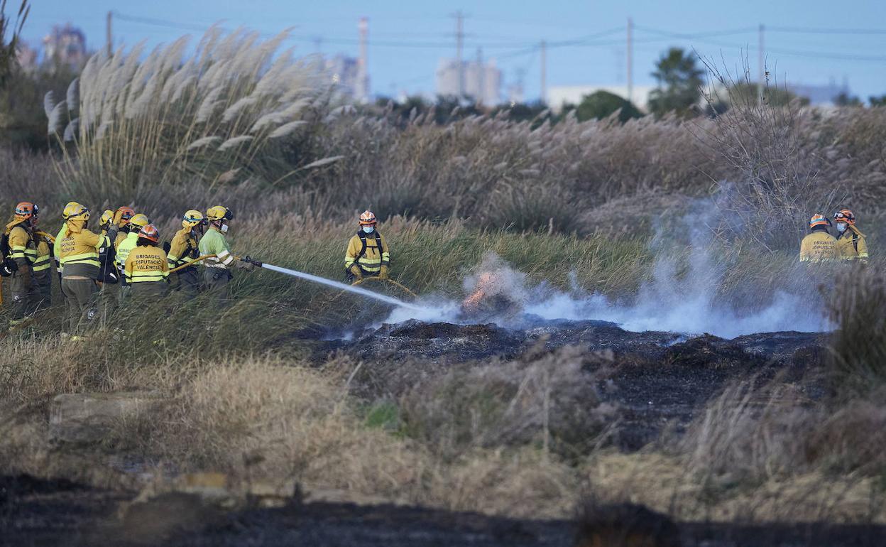 Los bomberos asegurando el terreno. 