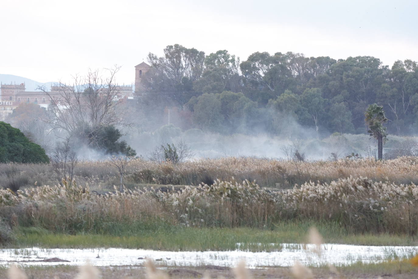 Fotos: Incendio en El Puig, próximo a viviendas
