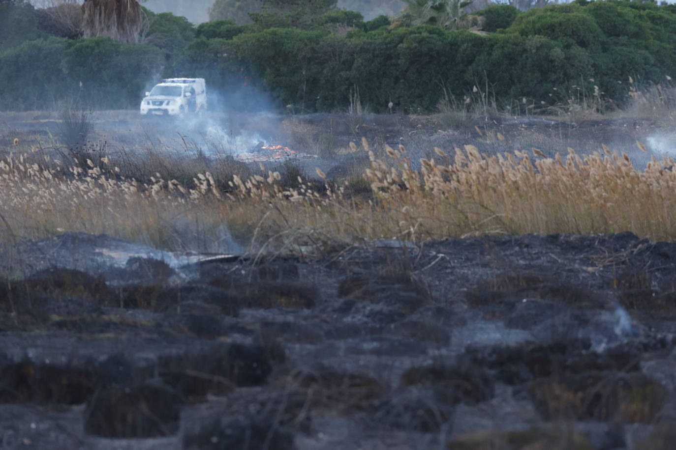 Fotos: Incendio en El Puig, próximo a viviendas