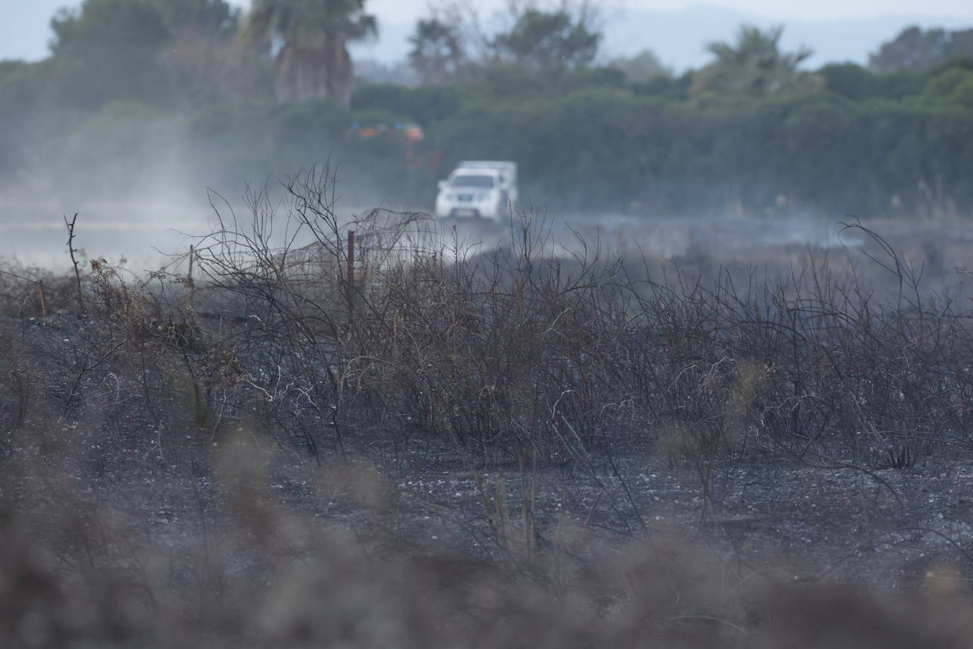 Fotos: Incendio en El Puig, próximo a viviendas