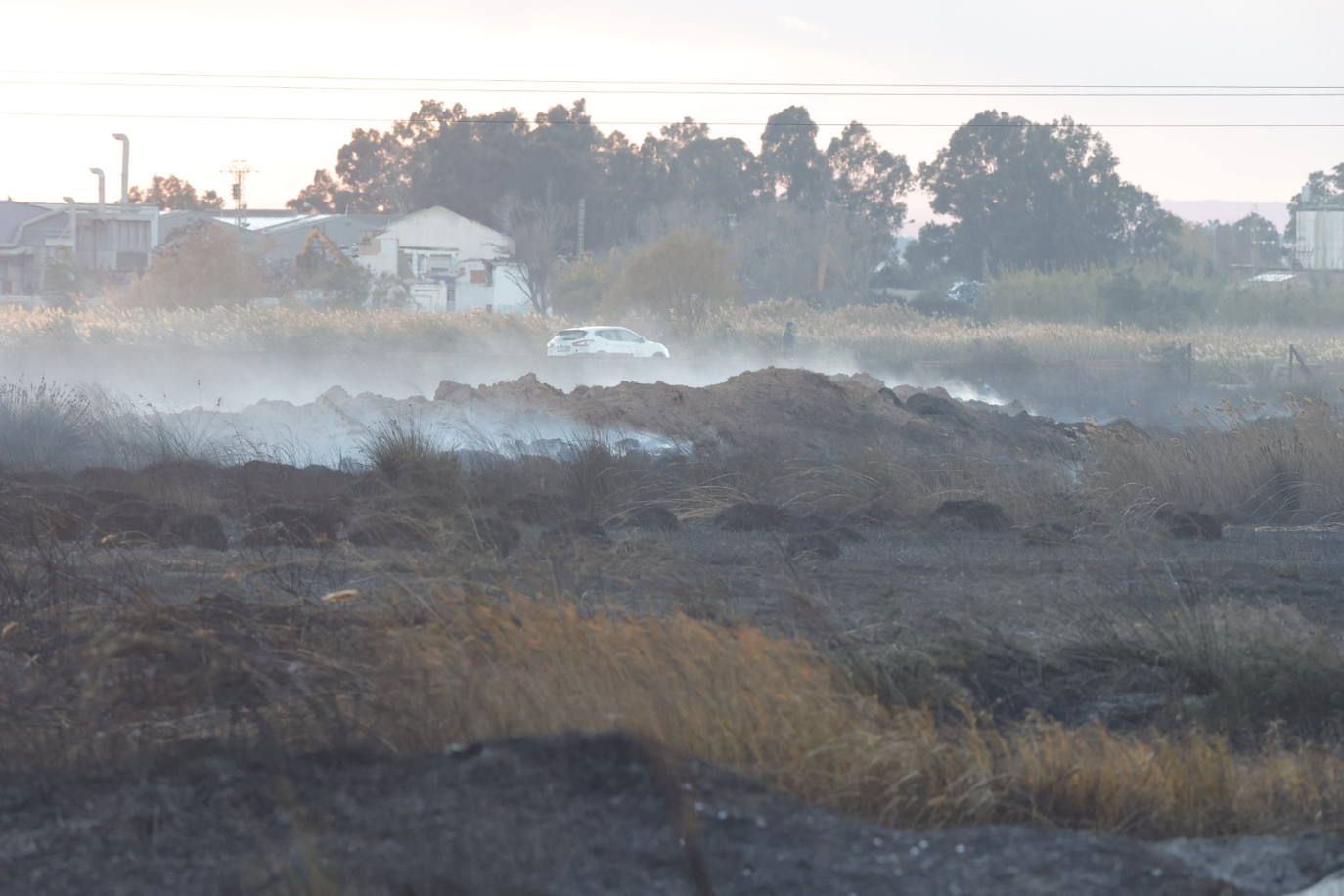 Fotos: Incendio en El Puig, próximo a viviendas