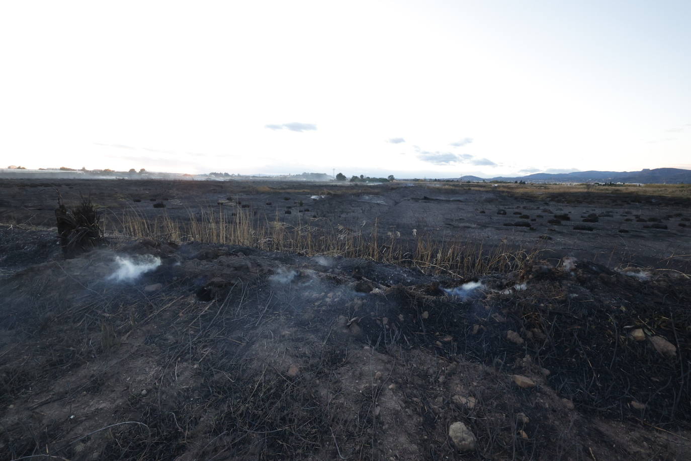 Fotos: Incendio en El Puig, próximo a viviendas