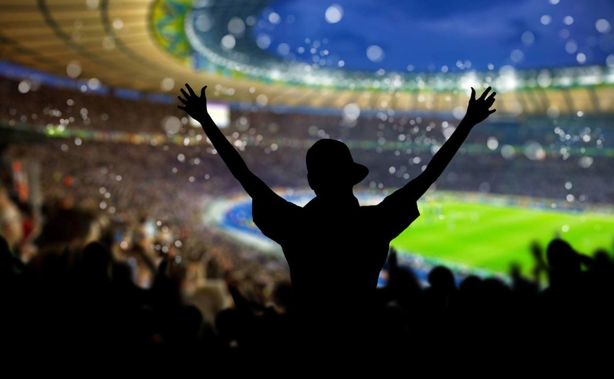 Aficionados celebran el gol de su equipo durante un partido de fútbol. 