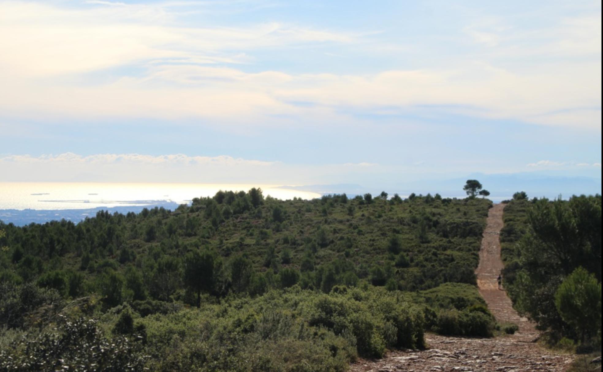 Rebalsadors de la Sierra Calderona: proyecto inacabado de un aeródromo | El aeródromo que no se acabó en lo más alto de Rebalsadors