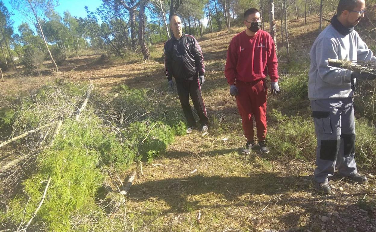 Varios miembros de Afempes trabajan en el terreno. 