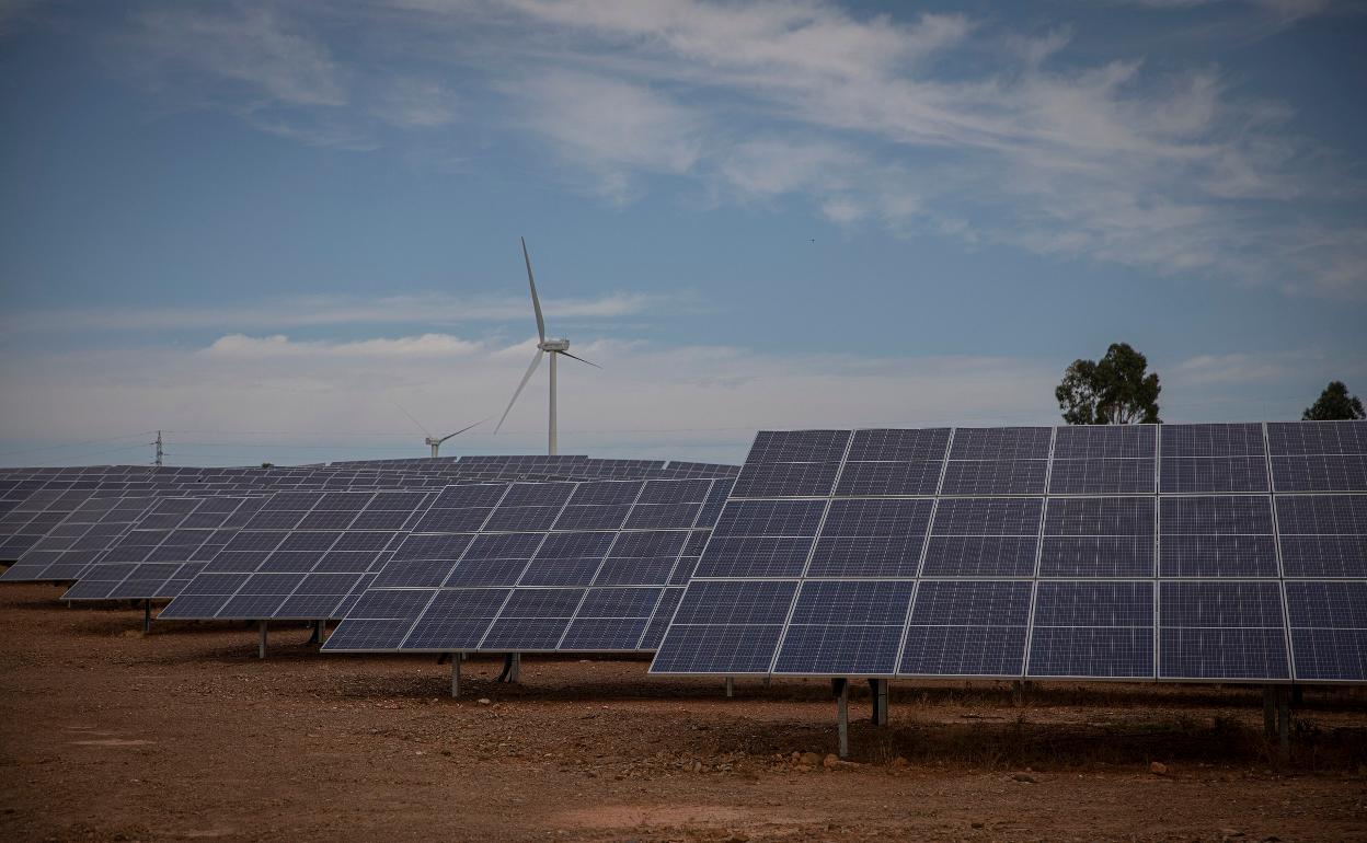 Instalaciones solares en un campo. 