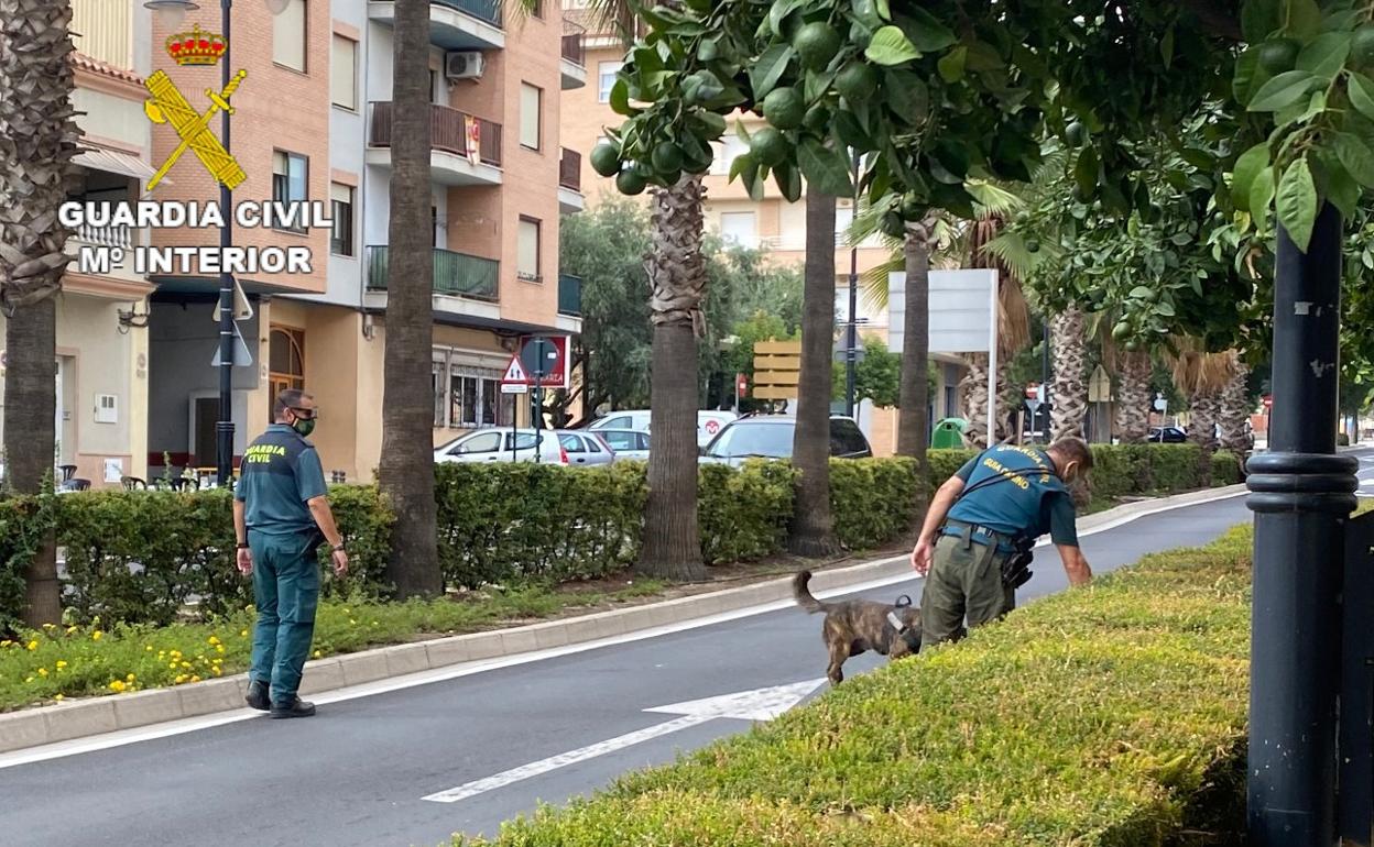 Varios agentes de la Guardia Civil inspeccionan el lugar donde se produjeron los envenenamientos. 