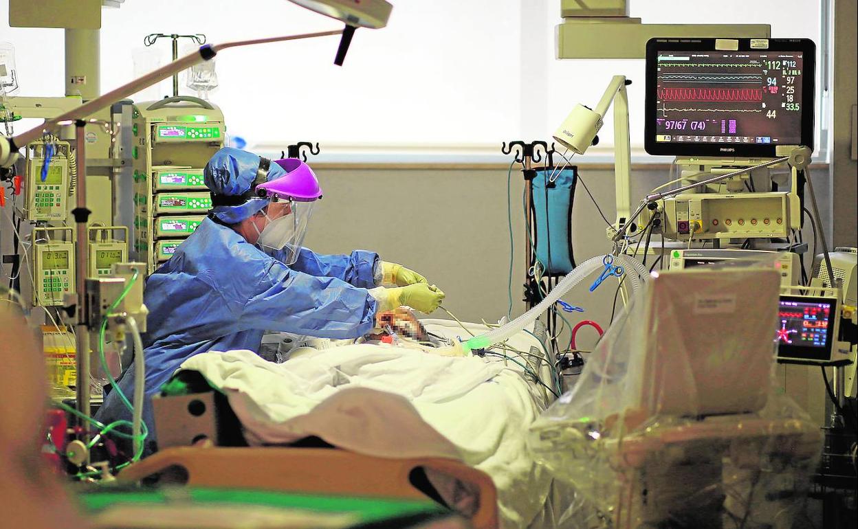 Personal sanitario atiende a un enfermo de Covid en un hospital valenciano.