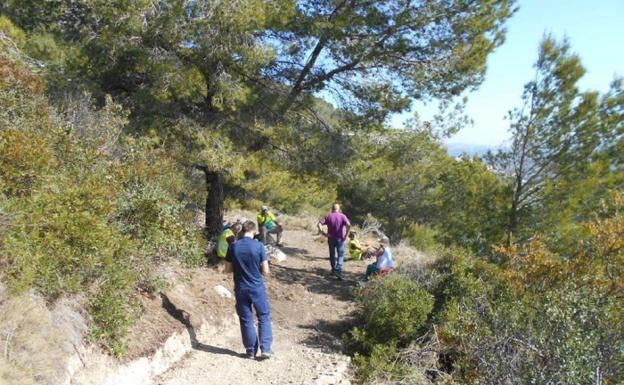 Sendero habilitado por la Serra d'Oltà. 