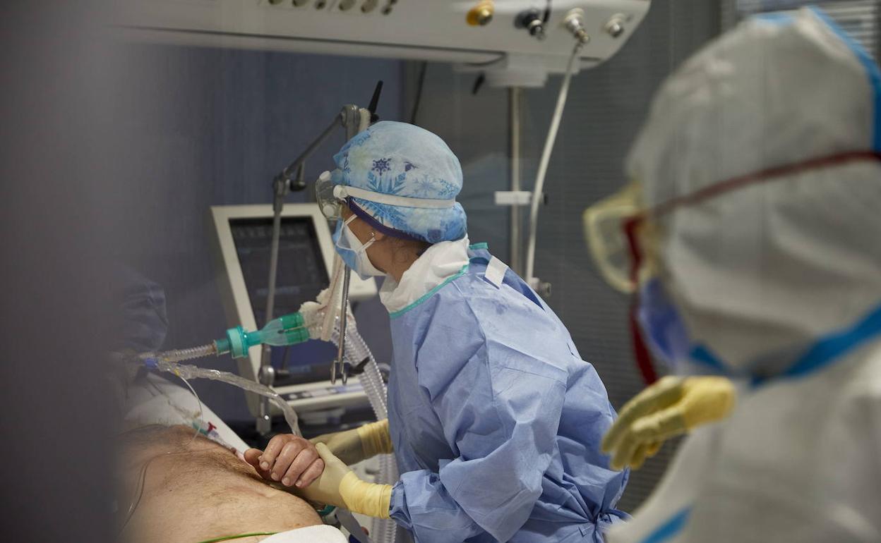 Personal sanitario atiende a un paciente en la UCI en un hospital valenciano.