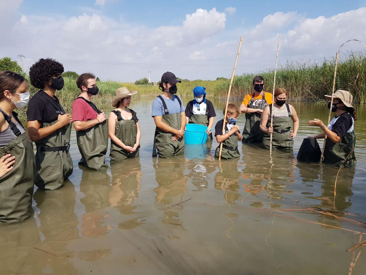 Voluntarios en una jornada de investigación de tortugas. lp