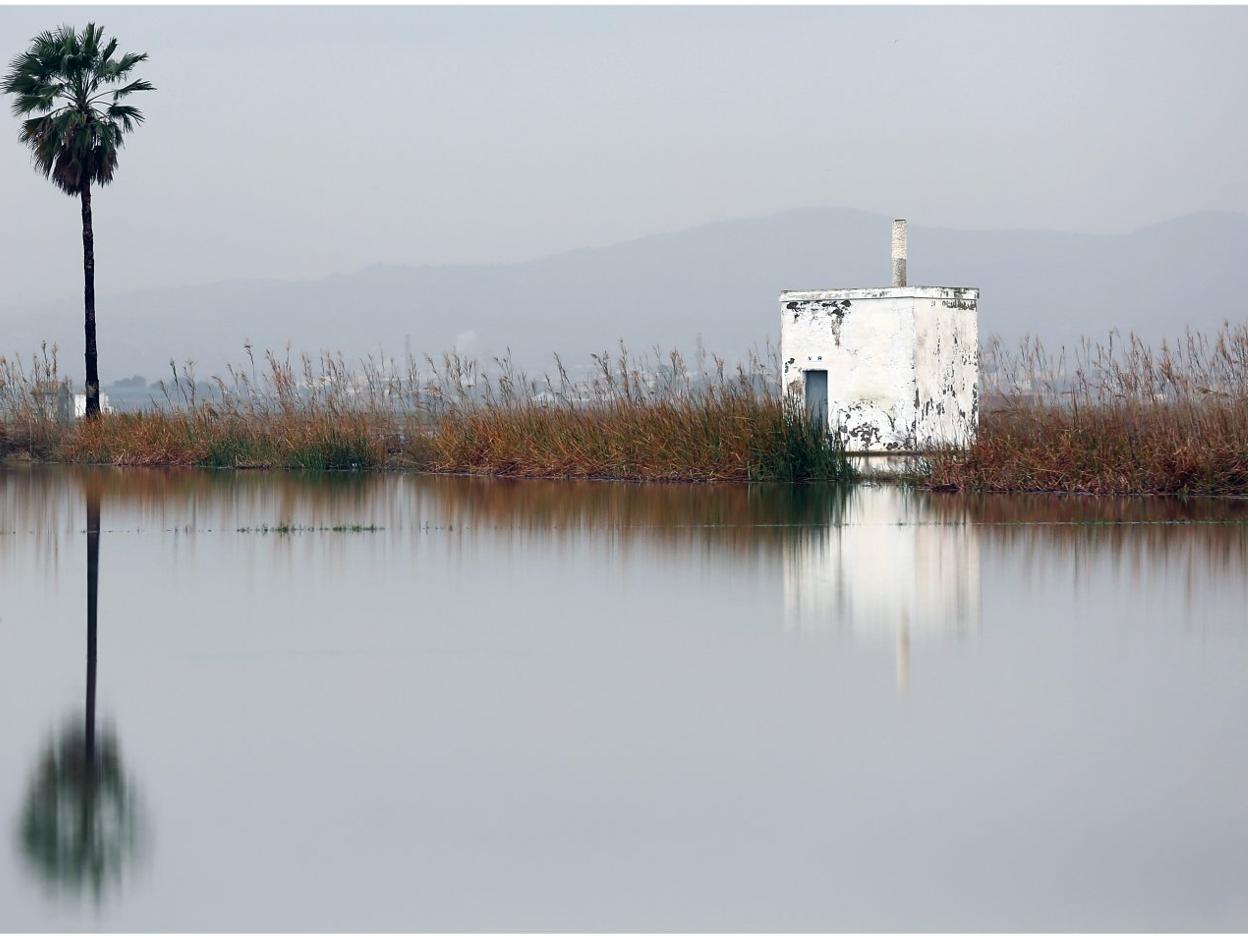 Un paraje de la Albufera con una caseta al fondo. 