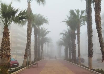 Imagen secundaria 1 - La niebla cubre la playa de Tavernes de la Valldigna el 1 de enero