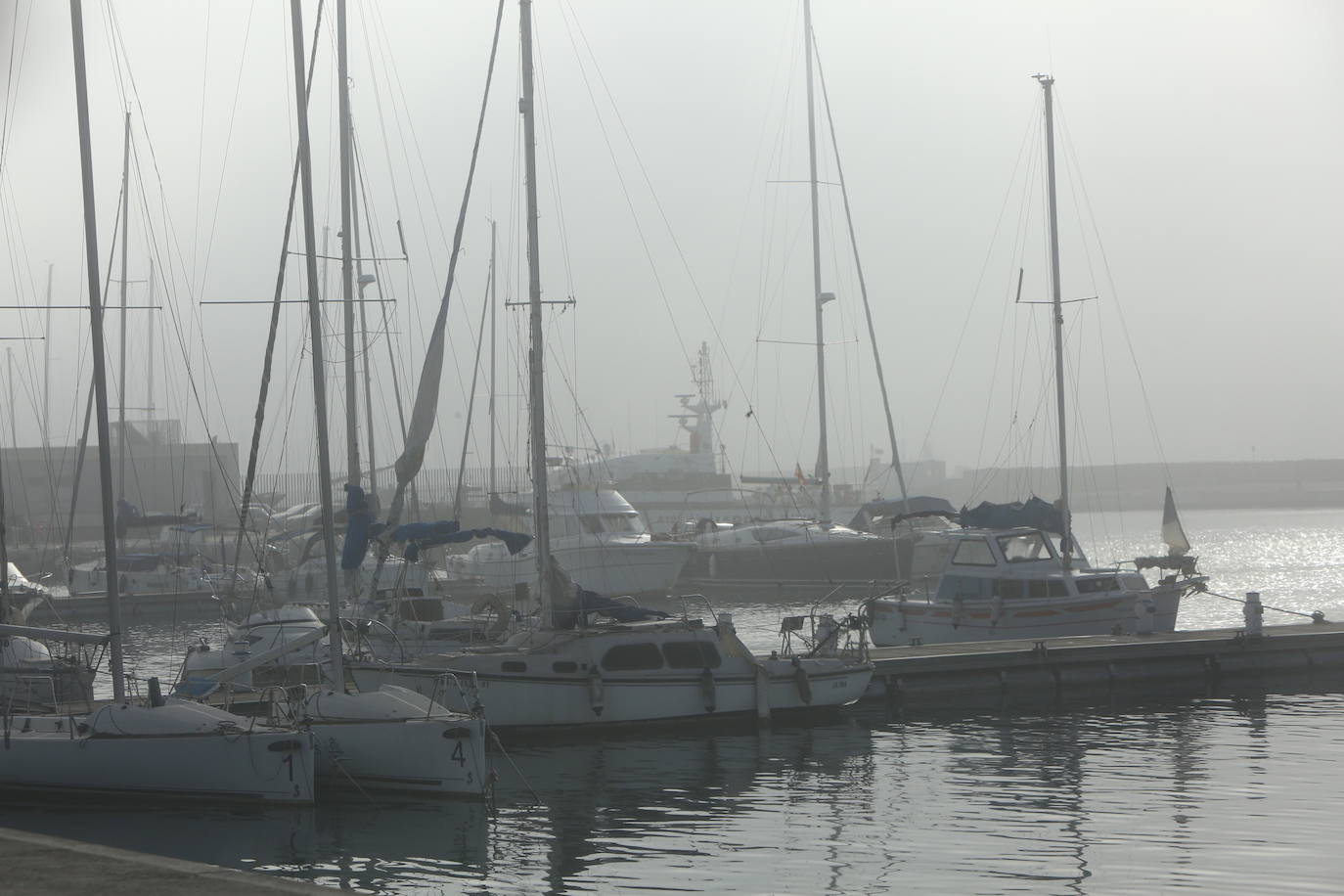 Fotos: La niebla cubre Valencia (2 de enero de 2022)