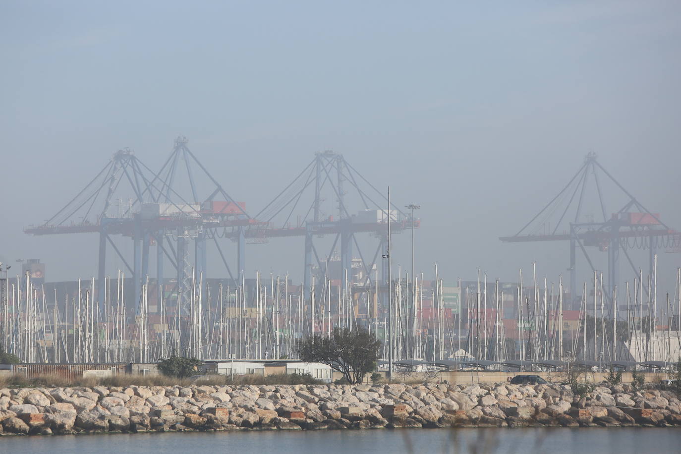 Fotos: La niebla cubre Valencia (2 de enero de 2022)