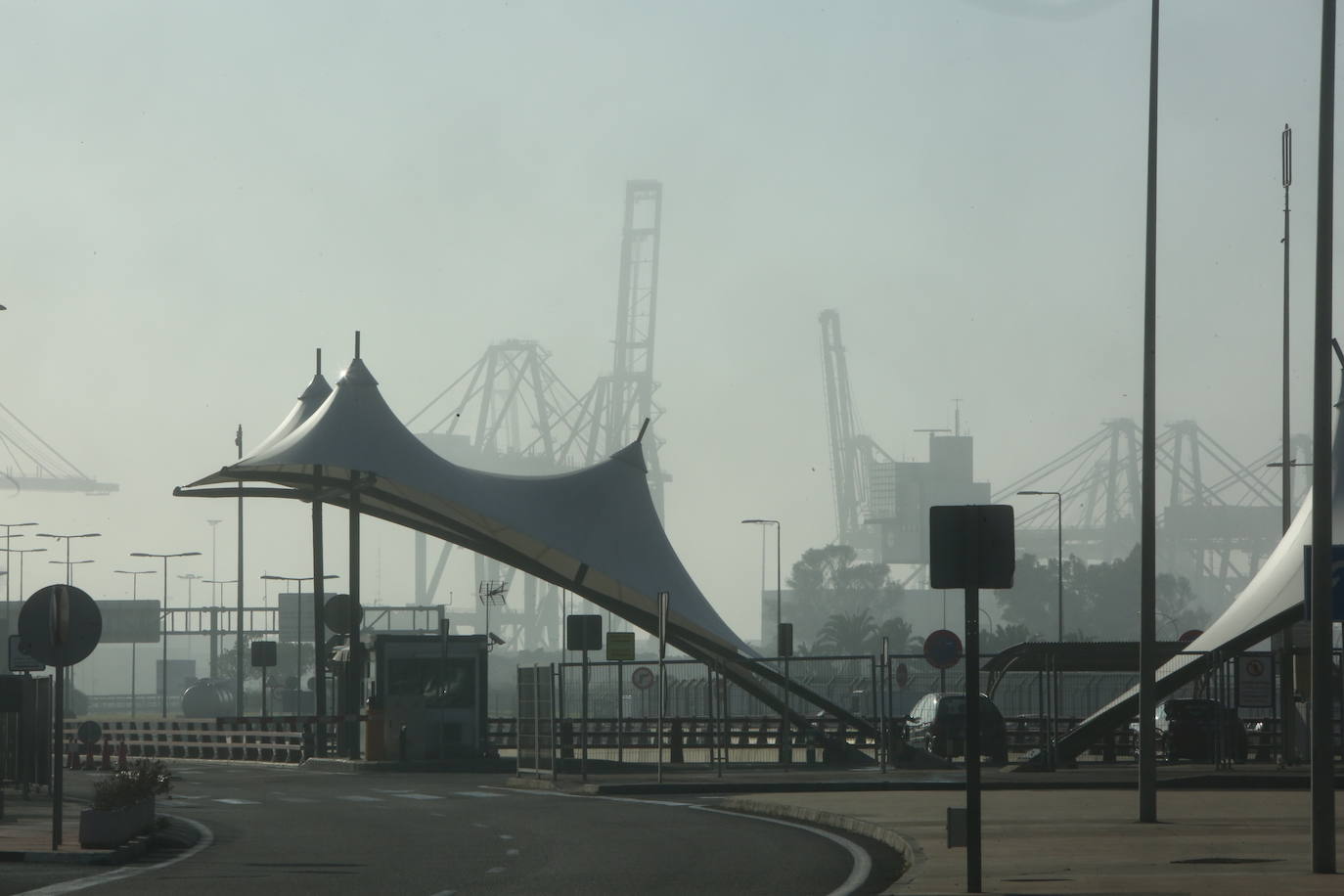 Fotos: La niebla cubre Valencia (2 de enero de 2022)