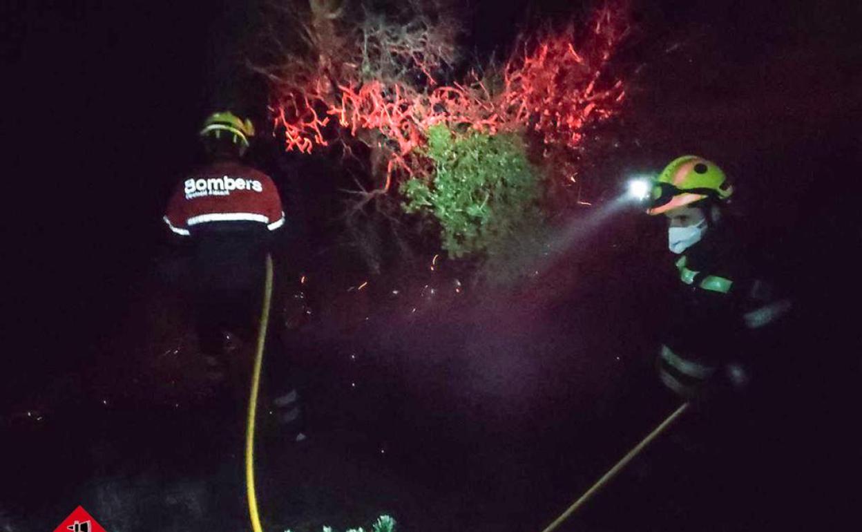 El fuego se ha originado en una arboleda. 