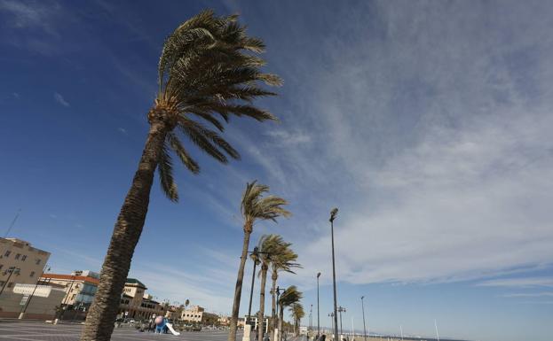 Viento en Valencia, Alicante y Castellón | El viento alcanza los 141 km/h en Fredes y tira abajo árboles en municipios de Castellón