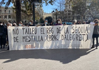 Imagen secundaria 1 - Pancartas de protesta vecinal y simulación de un huerto cultivado. 