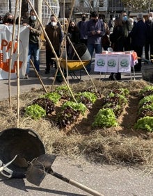 Imagen secundaria 2 - Pancartas de protesta vecinal y simulación de un huerto cultivado. 