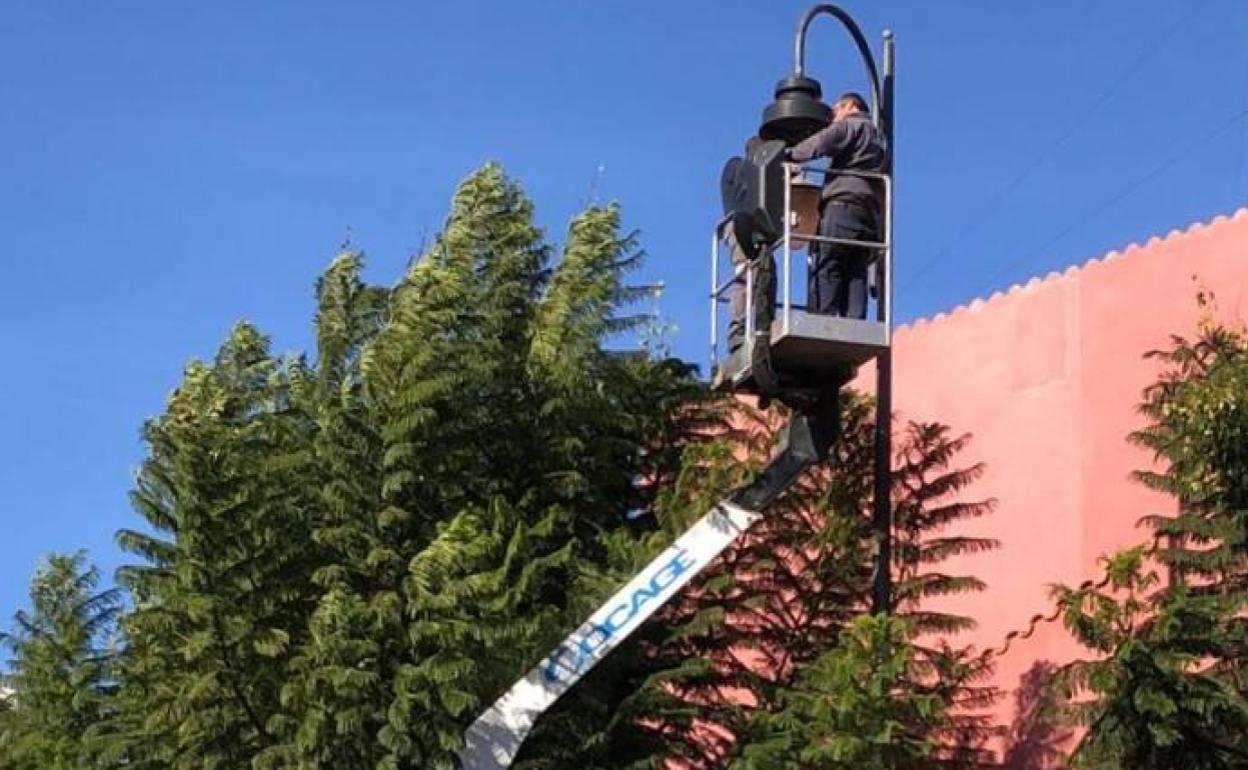 El cambio de luminarias en la avenida el Raval. 