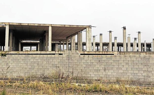 Alzira. Cientos de pilares en un solar a las afueras son testigo del proyecto faraónico que en época de bonanza quería ser referente del ocio en la Comunitat.