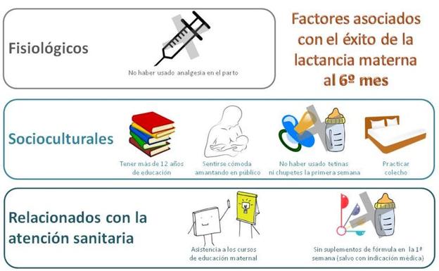 Figura 2: Factores fisiológicos, socioculturales y relacionados con la atención sanitaria que se encuentran asociados con el éxito de la lactancia materna al sexto mes.