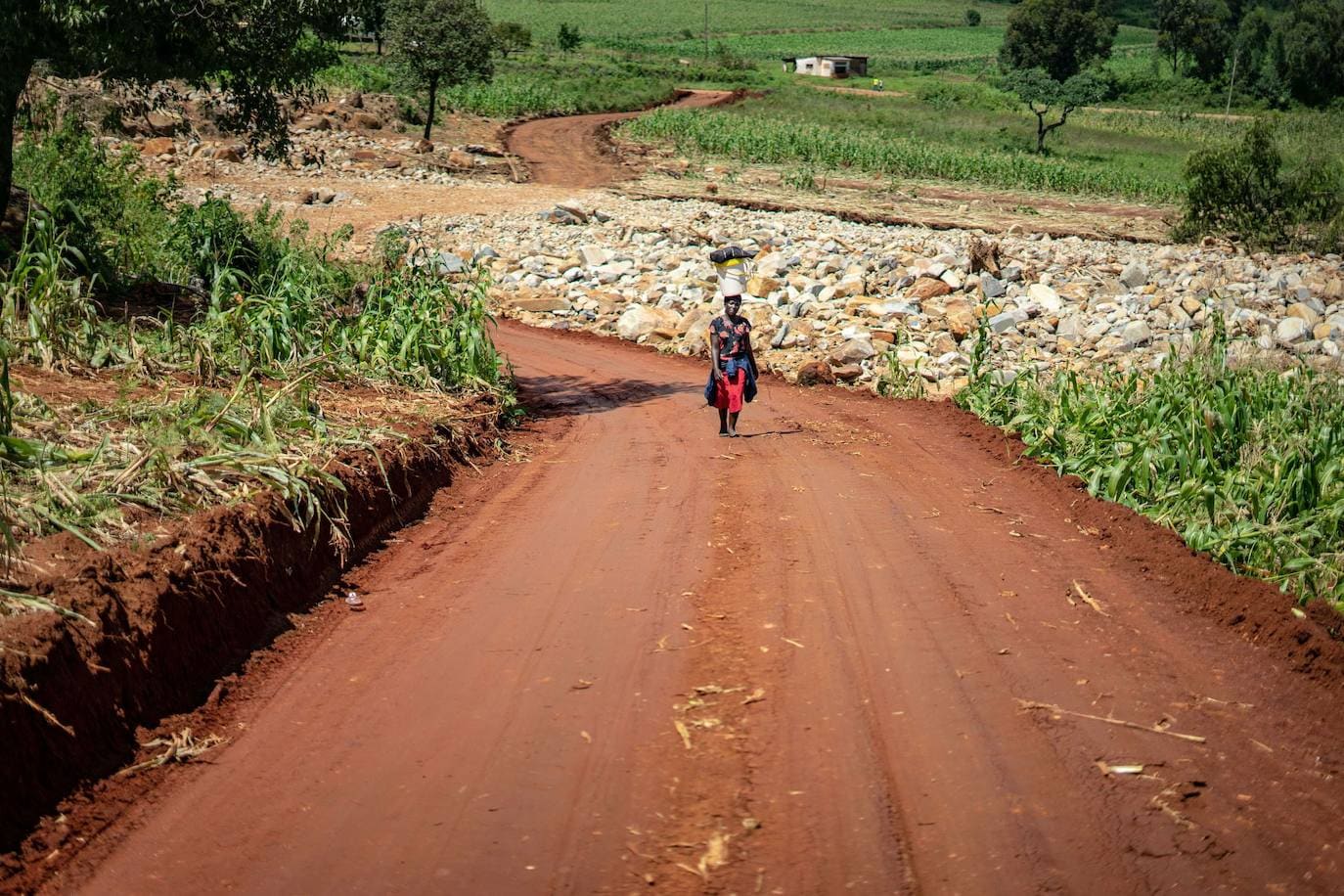 Montañas Chimanimani (Mozambique)