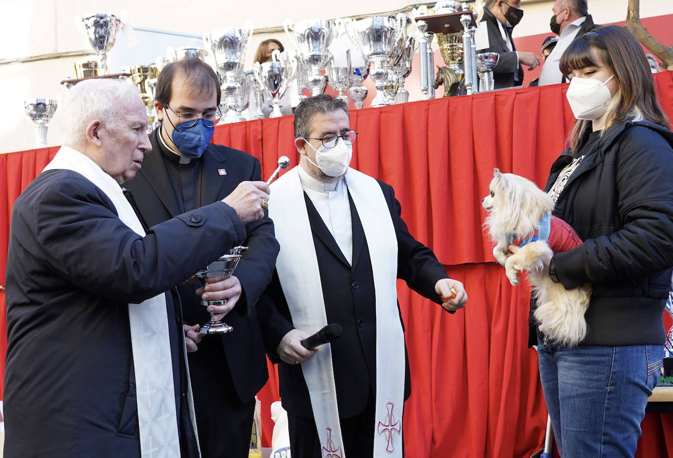 La bendición de animales se ha vuelto a celebrar en 2022 en la calle Sagunto de Valencia. 