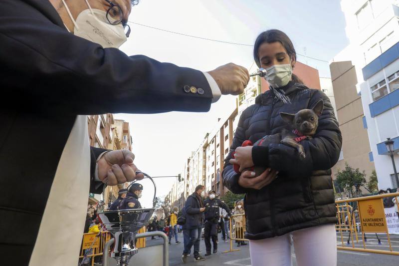 La bendición de animales se ha vuelto a celebrar en 2022 en la calle Sagunto de Valencia. 