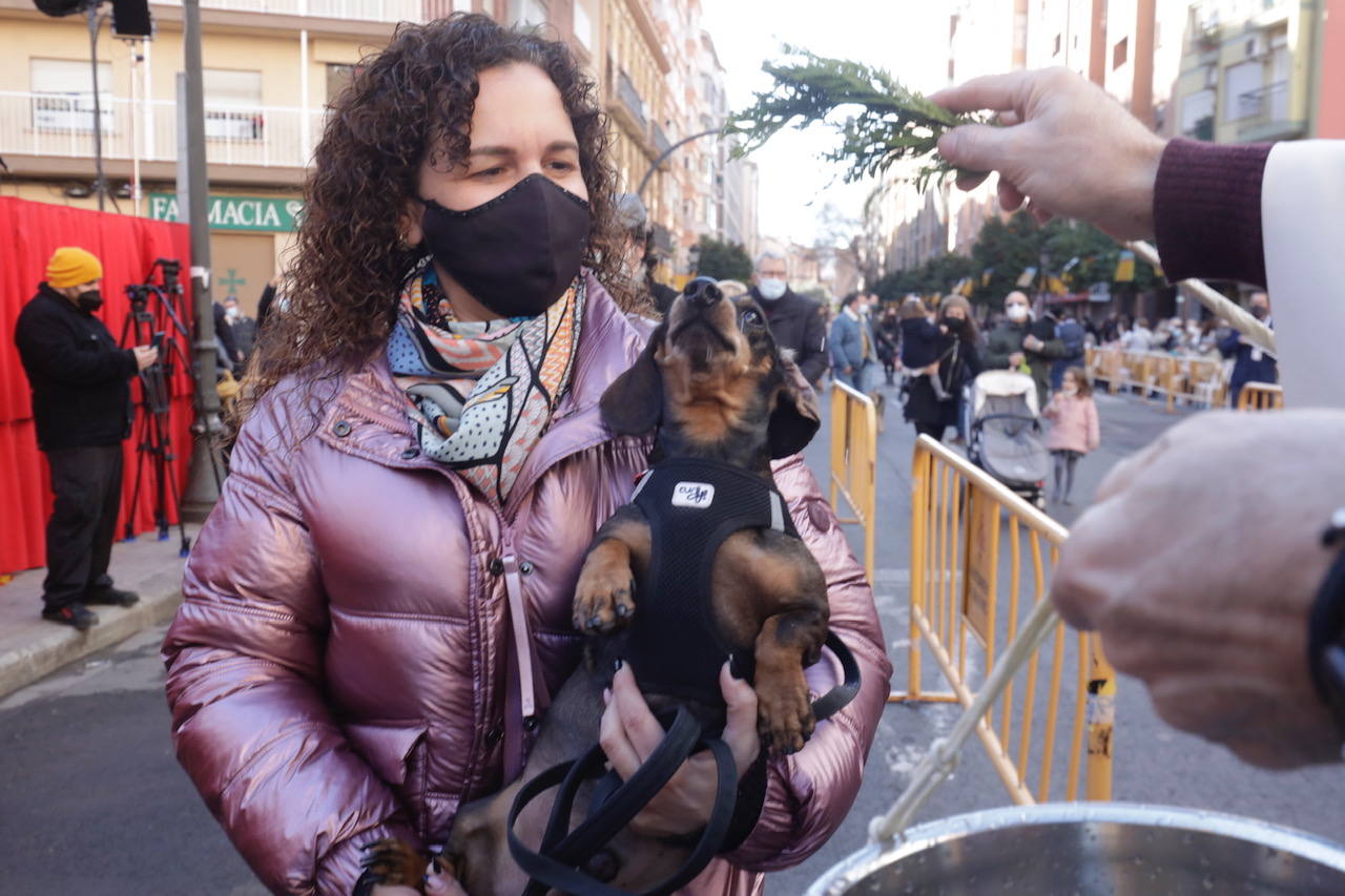 La bendición de animales se ha vuelto a celebrar en 2022 en la calle Sagunto de Valencia. 