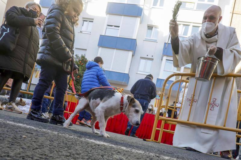 La bendición de animales se ha vuelto a celebrar en 2022 en la calle Sagunto de Valencia. 