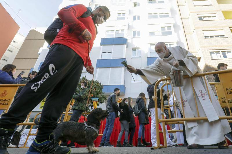 La bendición de animales se ha vuelto a celebrar en 2022 en la calle Sagunto de Valencia. 