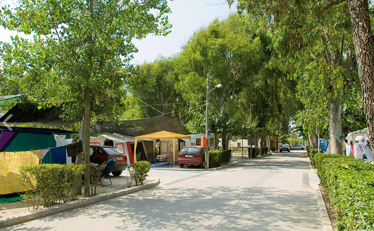 Instalaciones de un camping de Oliva a pie de playa. 