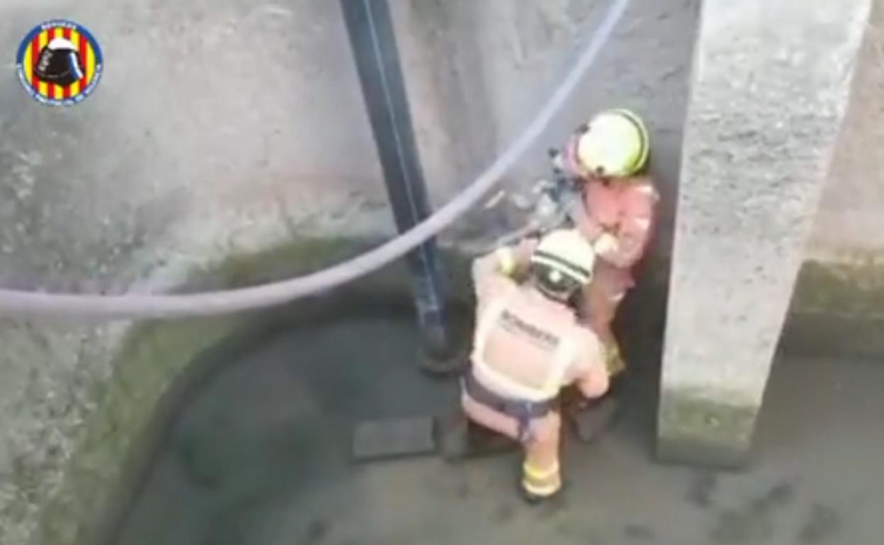 Momento en el que el perro fue rescatado por los bomberos. 