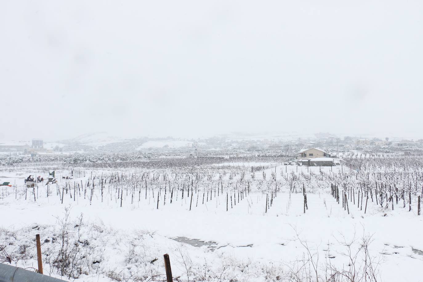 Nieve en Atenas provocada por la borrasca Elpis. 