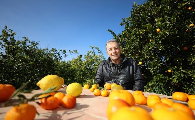 Vicent Todolí organiza visitas guiadas cada fin de semana, una de las fuentes de ingreso de su proyecto más personal. 