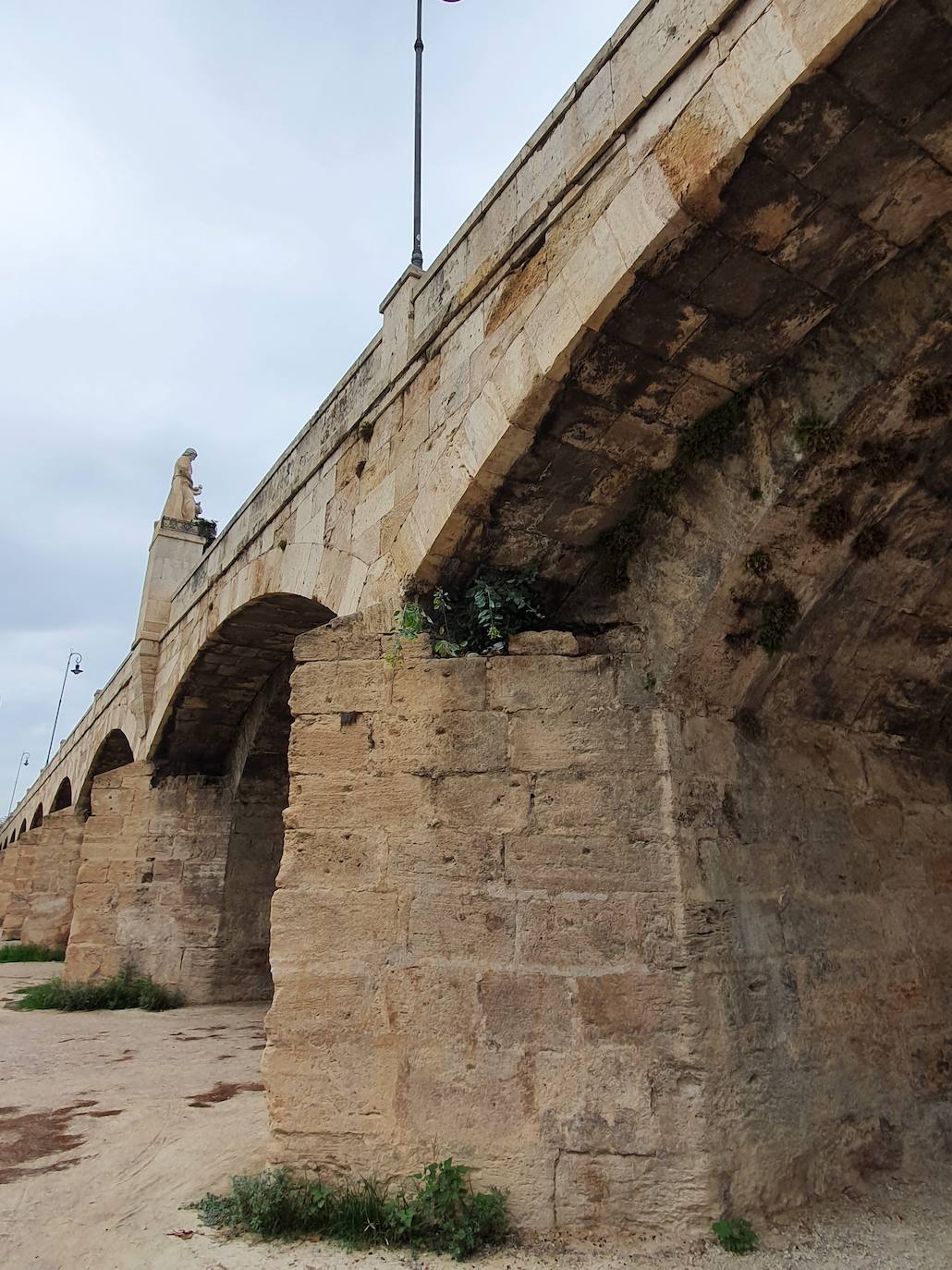 Los hierbajos y las humedades se adueñan de los puentes históricos del Jardín del Turia. 