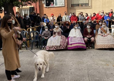 Imagen secundaria 1 - Propuesta de la falla Rosario, con el perro ¡Pep' de Sandra Gómez. 